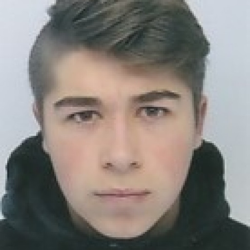 Romain Leprince
